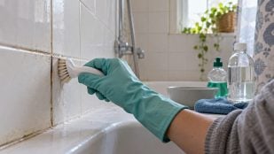 Truco limpieza albañiles, truco limpiar baños, cómo limpiar azulejos, vinagre blanco para limpiar baño.