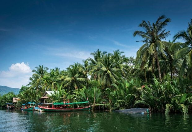 Camboya, selva