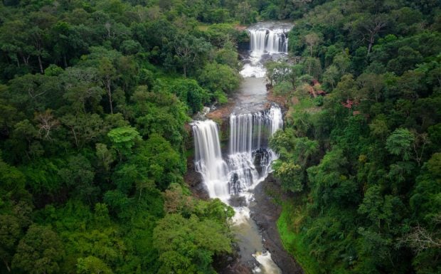 Selva, Camboya