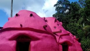 voluntarios para vivir gratis en una finca de Puerto Rico