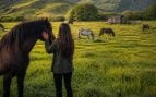 Vivir gratis en Nueva Zelanda