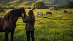 Vivir gratis en Nueva Zelanda