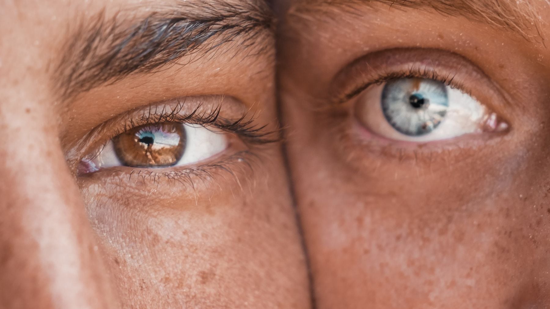 ¿Existe relación entre el color de los ojos y la inteligencia? Los psicólogos lo explican