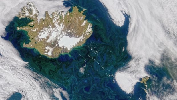 Altas concentraciones de fitoplancton (color verde) frente a la costa sur de Islandia. Fuente: NASA.