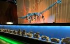 Descubren en Teruel el primer diplodocus fuera de Norteamérica