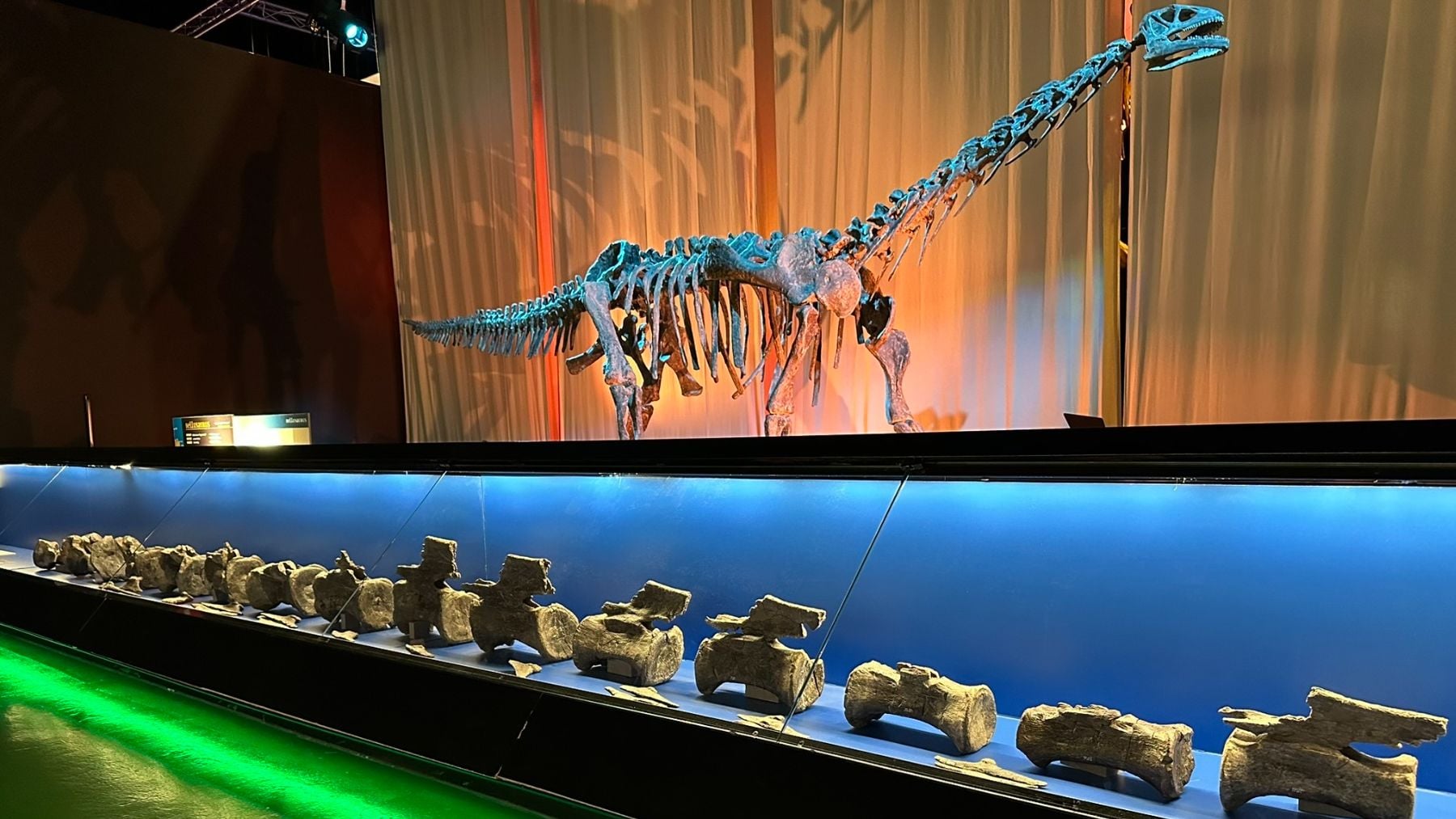 Descubren en Teruel el primer diplodocus fuera de Norteamérica