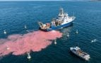 Científicos vierten miles de litros de sosa cáustica en el mar: un experimento pionero que provoca la aparición de una mancha rojiza en el océano