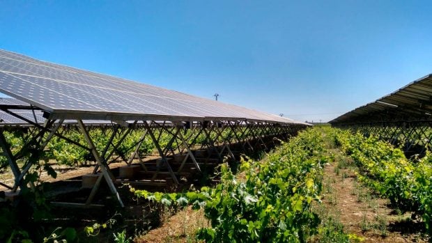 Agrovoltaica