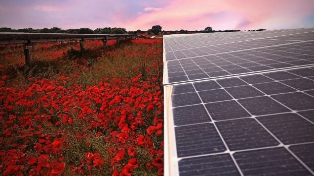 Fotovoltaica flores