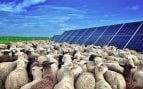 fotovoltaica UNEF 2025