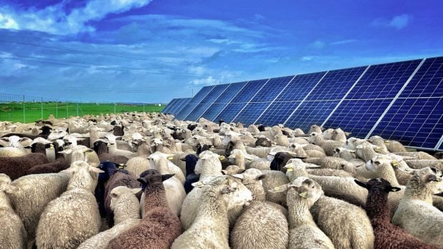 fotovoltaica UNEF 2025