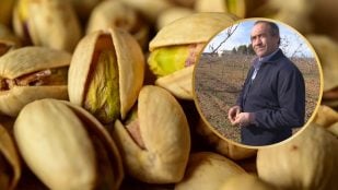 agricultor pistacho
