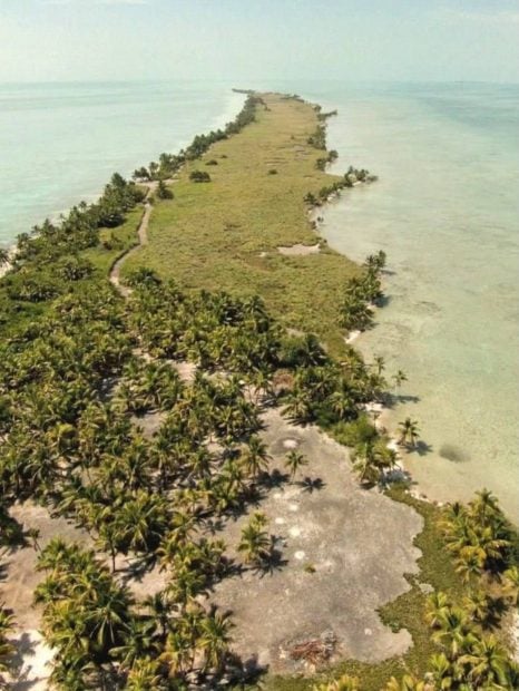 Blackadore Caye, Leonardo DiCaprio