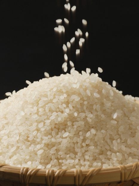 receta jordi cruz arroz blanco