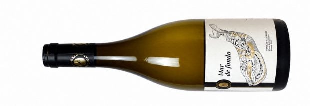 vino bodega casa