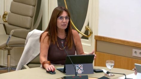 Manuela Cañadas es la portavoz de Vox en el Parlament.