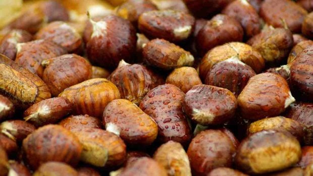 Receta castañas