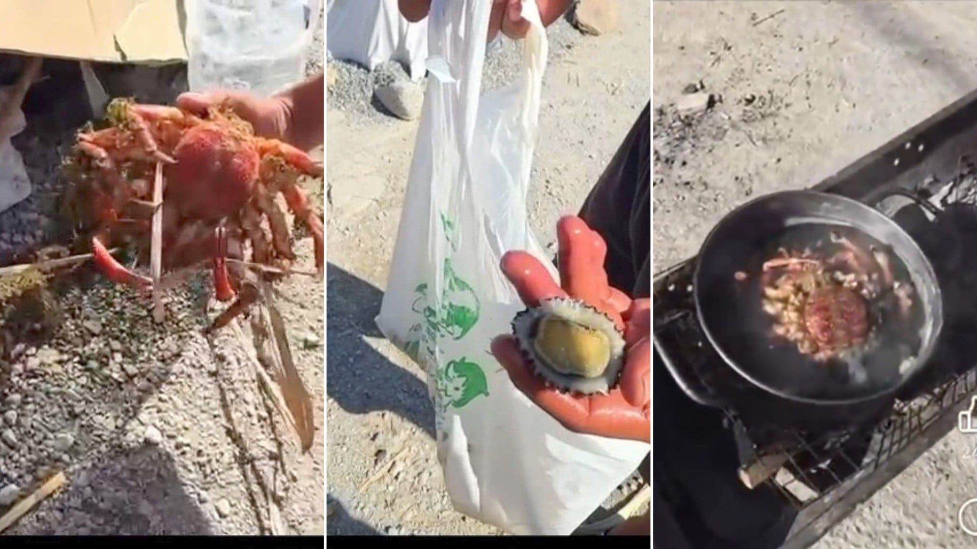 Imágenes recogidas por el Faro de Ceuta.