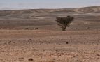 Marruecos Sáhara