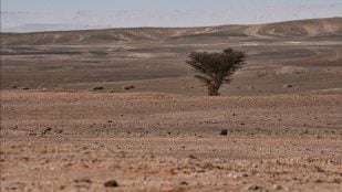 Marruecos Sáhara