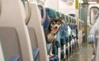 perro en tren