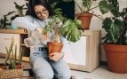 Plantas, flora, curiosidades