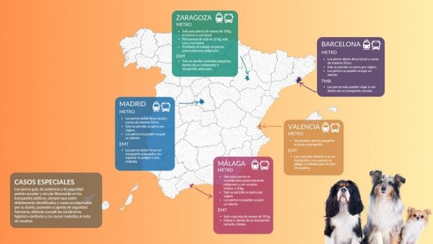 Fuente: Real Sociedad Canina de Espa&ntilde;a.