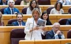 PP Senado invasión Ceuta