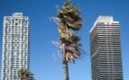 AEMET prevé nublados y viento moderado en Barcelona, con aumento de temperaturas en el prelitoral