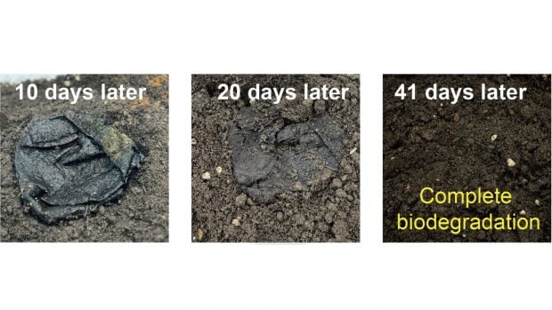 Prueba de biodegradaci&oacute;n en tierra de un prototipo textil hecho con hongos, en distintas etapas: reci&eacute;n enterrado, a los 10, 20 y 41 d&iacute;as, hasta la descomposici&oacute;n completa. Imagen: estudio de Li et al., publicado en Science Advances.