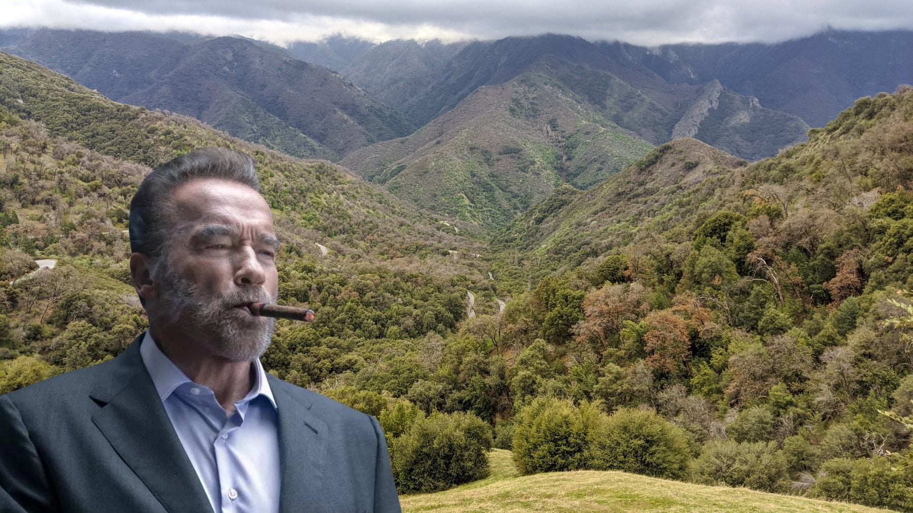Arnold Schwarzenegger. (Foto: EuropaPress)