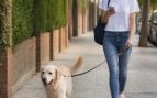 Móvil mientras pasean al perro