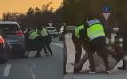Así tratan de secuestrar a un hombre cinco individuos disfrazados de policías en pleno día en la AP7