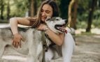 perro adiestramiento