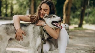 perro adiestramiento
