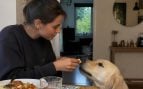 Perro
