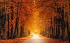 Paisaje propio del otoño.