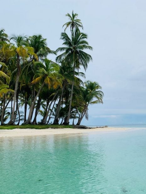 casa julio iglesias punta cana cumpleaños