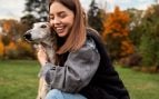 Perros, animales, mascotas