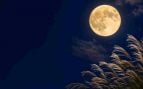 Superlunas