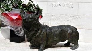 Estatua de la reina Isabel II en Oakham, Inglaterra, con uno de sus dos corgis representados. Foto: Michael Garlick, CC BY-SA 2.0, vía Wikimedia Commons