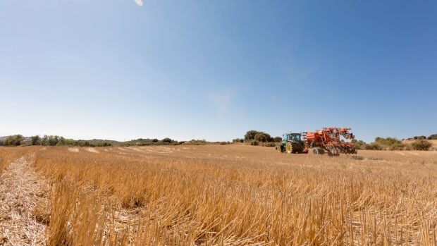 Heineken intermalta agricultura regenerativ