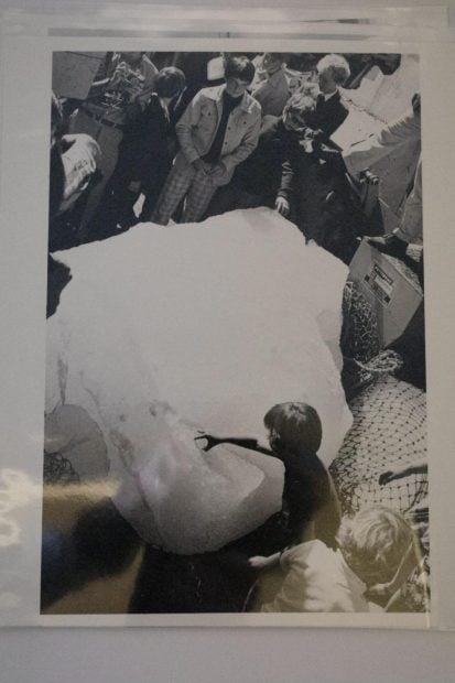 iceberg