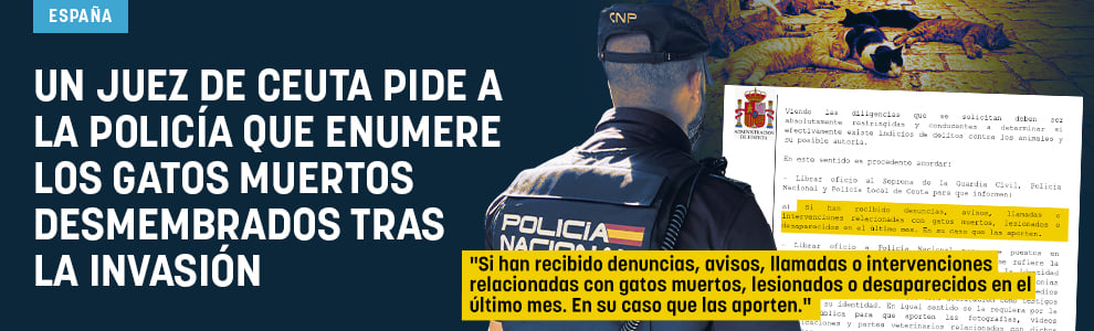 Un juez de Ceuta pide a la Policía que enumere los gatos muertos desmembrados tras la invasión