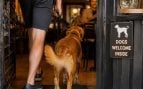 Perro bar o restaurante