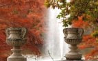 Otoño en Madrid