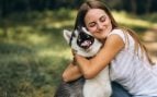 Perros, animales, mascotas
