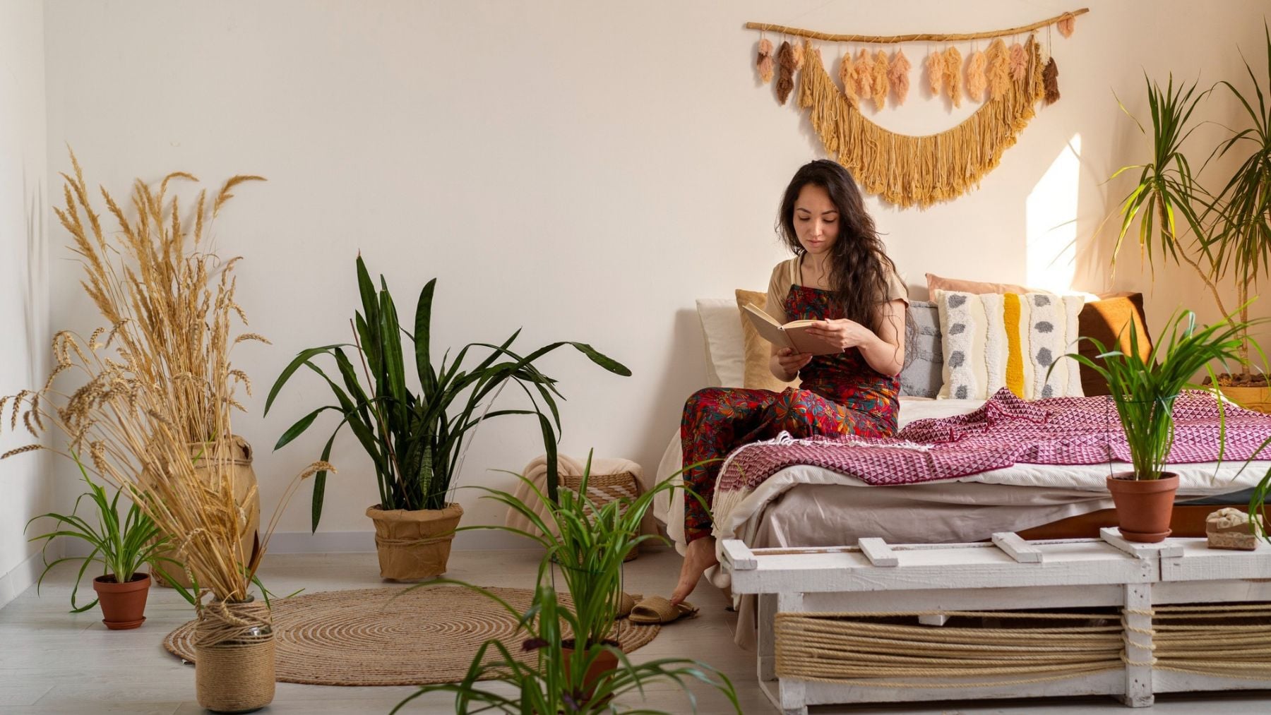 Ni cactus ni potos: las 3 mejores plantas de interior para decorar un dormitorio, según una experta en floristería española