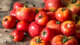 Tomates, curiosidades, truco, truco de cocina
