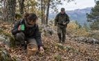 Recoger setas en Sierra del Guadarrama, multa por recoger seta en el Guadarrama, recolectar fresas en la Sierra de Guadarrama.